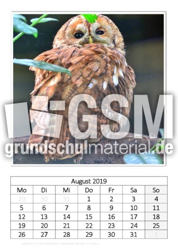August_Waldkauz.pdf